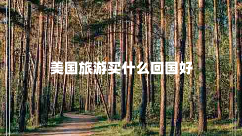 美國(guó)旅游買(mǎi)什么回國(guó)好