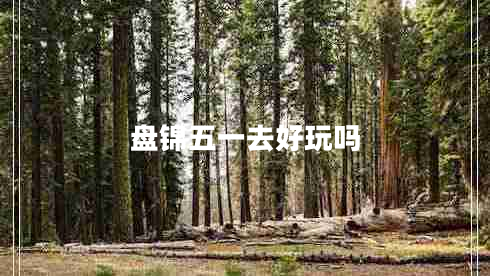 盤錦五一去好玩嗎