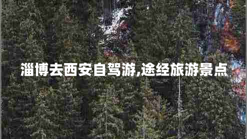 淄博去西安自駕游,途經(jīng)旅游景點