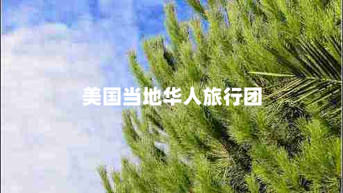 美國(guó)當(dāng)?shù)厝A人旅行團(tuán)