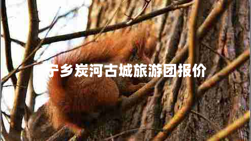 寧鄉(xiāng)炭河古城旅游團報價