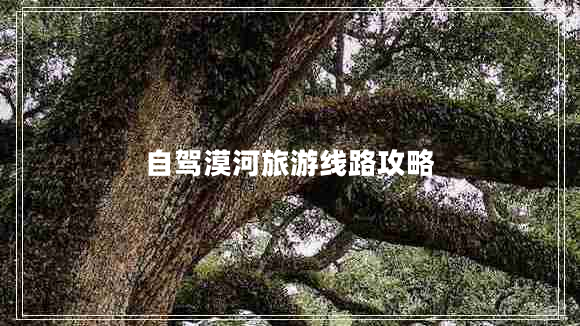 自駕漠河旅游線路攻略