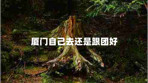 廈門自己去還是跟團好