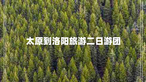 太原到洛陽(yáng)旅游二日游團(tuán)