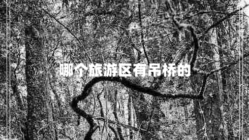 哪個旅游區(qū)有吊橋的