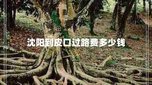 沈陽(yáng)到皮口過(guò)路費(fèi)多少錢
