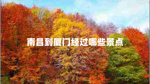 南昌到廈門經過哪些景點