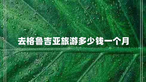 去格魯吉亞旅游多少錢一個月