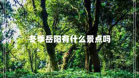 冬季岳陽有什么景點嗎