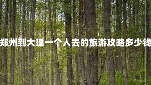 鄭州到大理一個(gè)人去的旅游攻略多少錢