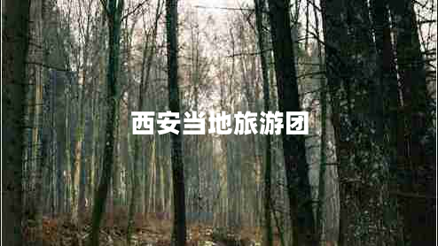 西安當(dāng)?shù)芈糜螆F