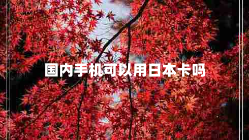 國(guó)內(nèi)手機(jī)可以用日本卡嗎