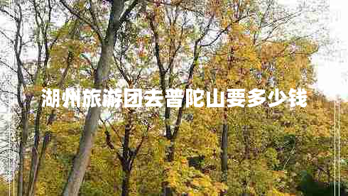 湖州旅游團去普陀山要多少錢