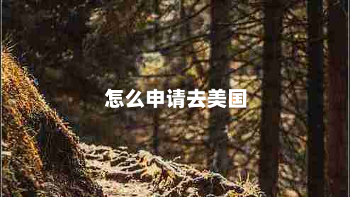 怎么申請(qǐng)去美國(guó)