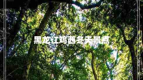 黑龍江雞西冬天景點