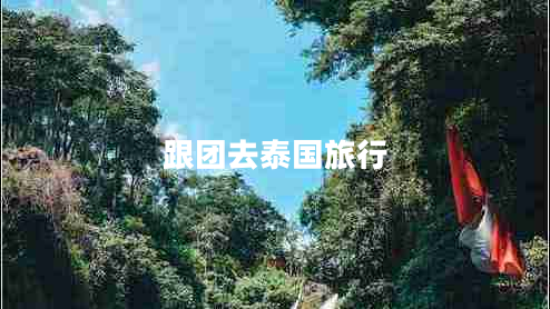 跟團(tuán)去泰國旅行