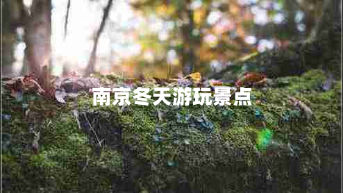 南京冬天游玩景點