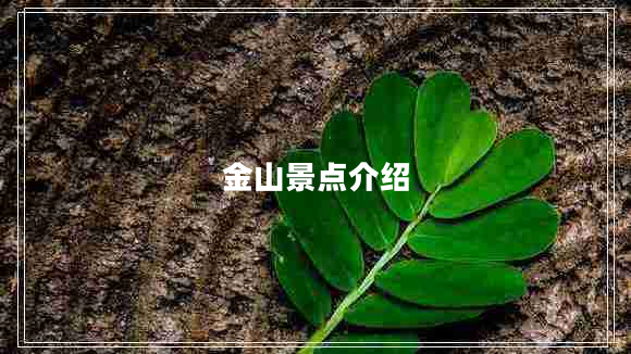 金山景點介紹