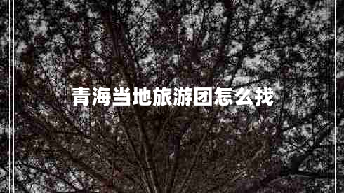 青海當(dāng)?shù)芈糜螆F怎么找 青海當(dāng)?shù)芈糜螆F怎么找