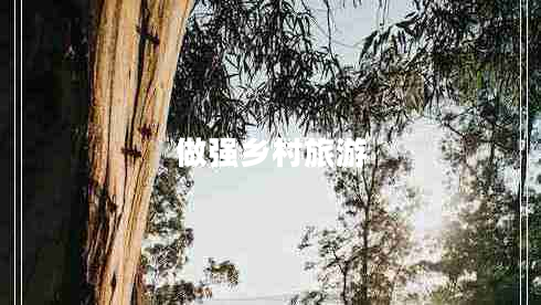 做強鄉(xiāng)村旅游 做強鄉(xiāng)村旅游