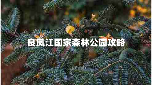 良鳳江國(guó)家森林公園攻略