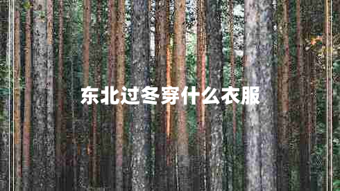 東北過(guò)冬穿什么衣服