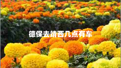 德保去靖西幾點(diǎn)有車