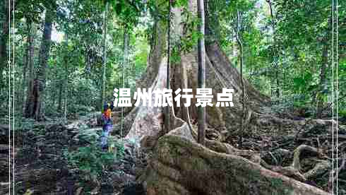 溫州旅行景點 溫州旅行景點