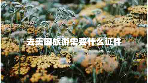 去美國旅游需要什么證件