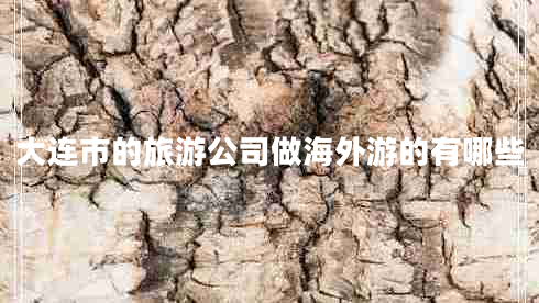 大連市的旅游公司做海外游的有哪些