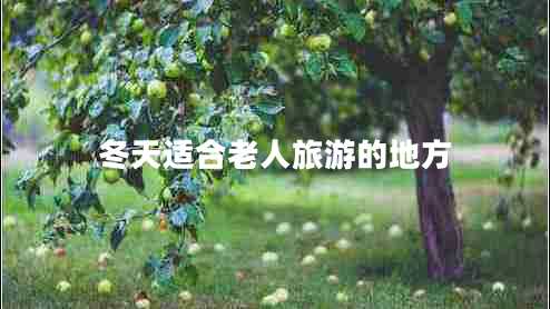 冬天適合老人旅游的地方 冬天適合老人旅游的地方