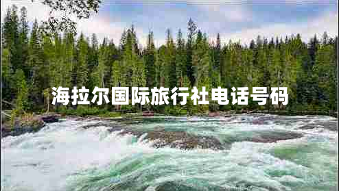 海拉爾國(guó)際旅行社電話(huà)號(hào)碼