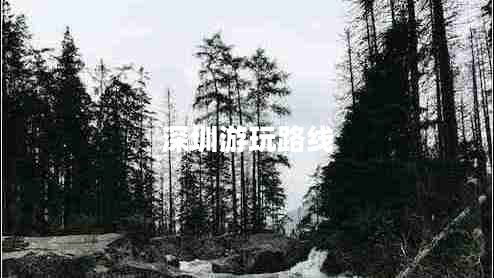 深圳游玩路線