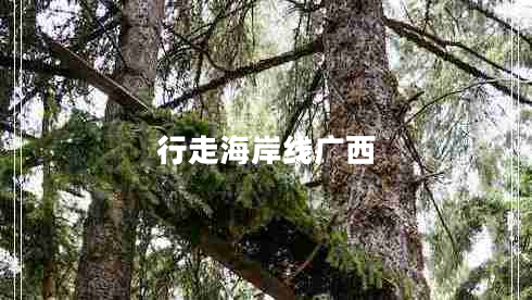 行走海岸線廣西