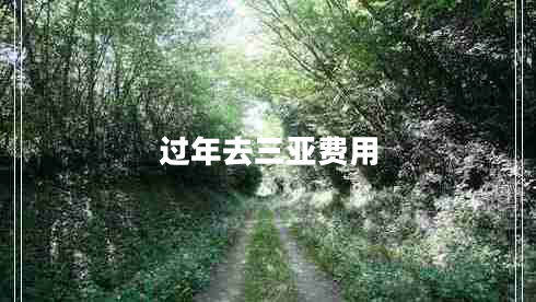 過年去三亞費(fèi)用 過年去三亞費(fèi)用