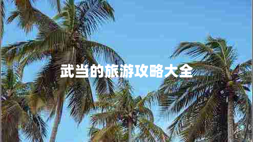 武當(dāng)?shù)穆糜喂ヂ源笕? title=