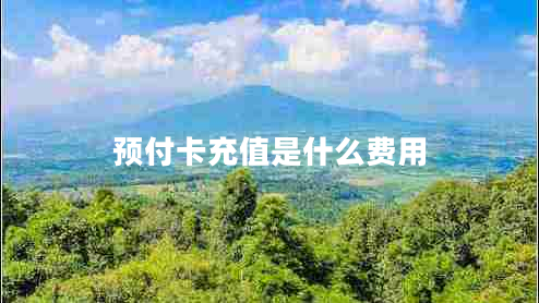 預(yù)付卡充值是什么費用