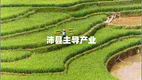 沛縣主導(dǎo)產(chǎn)業(yè) 沛縣主導(dǎo)產(chǎn)業(yè)