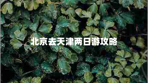 北京去天津兩日游攻略