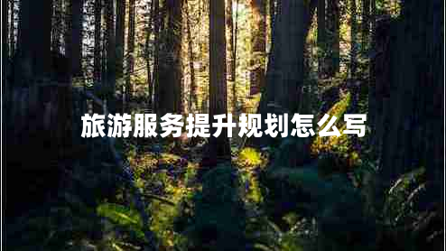 旅游服務提升規(guī)劃怎么寫