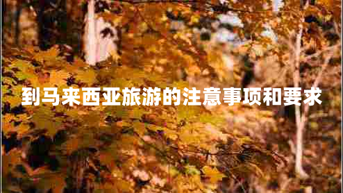 到馬來西亞旅游的注意事項(xiàng)和要求