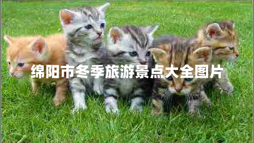綿陽市冬季旅游景點(diǎn)大全圖片