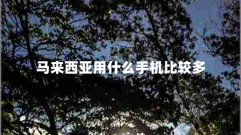 馬來(lái)西亞用什么手機(jī)比較多