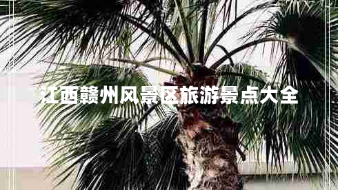 江西贛州風景區(qū)旅游景點大全