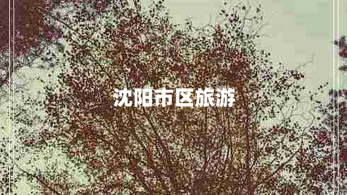 沈陽(yáng)市區(qū)旅游