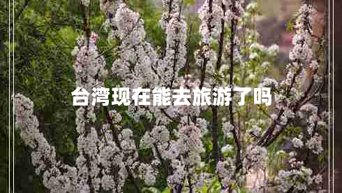 臺灣現(xiàn)在能去旅游了嗎