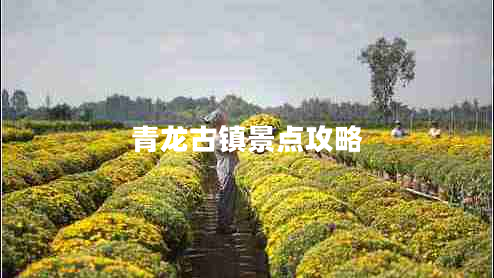 青龍古鎮(zhèn)景點攻略