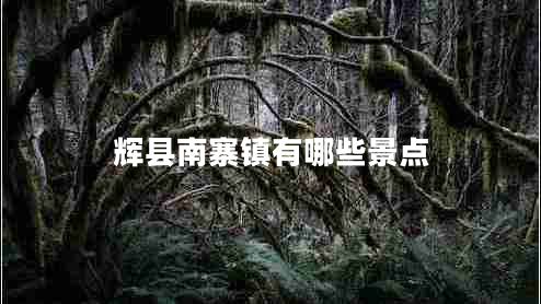 輝縣南寨鎮(zhèn)有哪些景點(diǎn) 輝縣南寨鎮(zhèn)有哪些景點(diǎn)