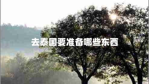 去泰國要準(zhǔn)備哪些東西