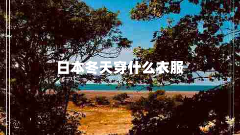 日本冬天穿什么衣服 日本冬天穿什么衣服